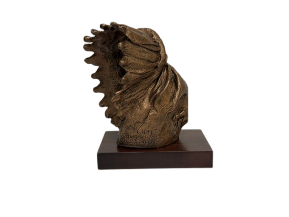 Chief Bust with CMSgt Patch P268B