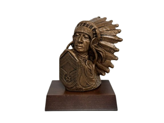 Chief Bust with CMSgt Patch P268B