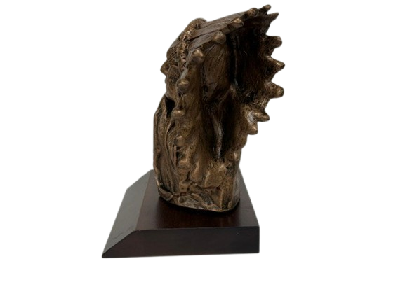 Chief Bust with CMSgt Patch P268B