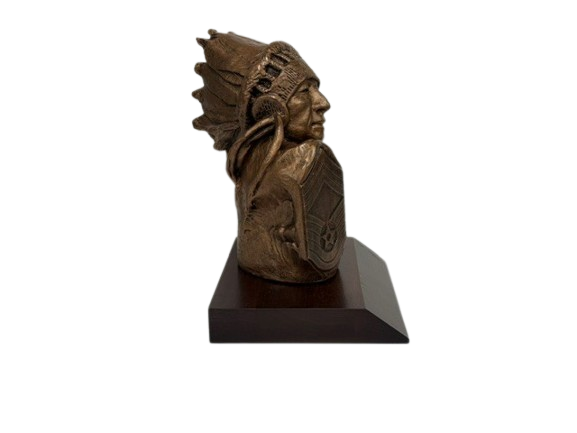 Chief Bust with CMSgt Patch P268B