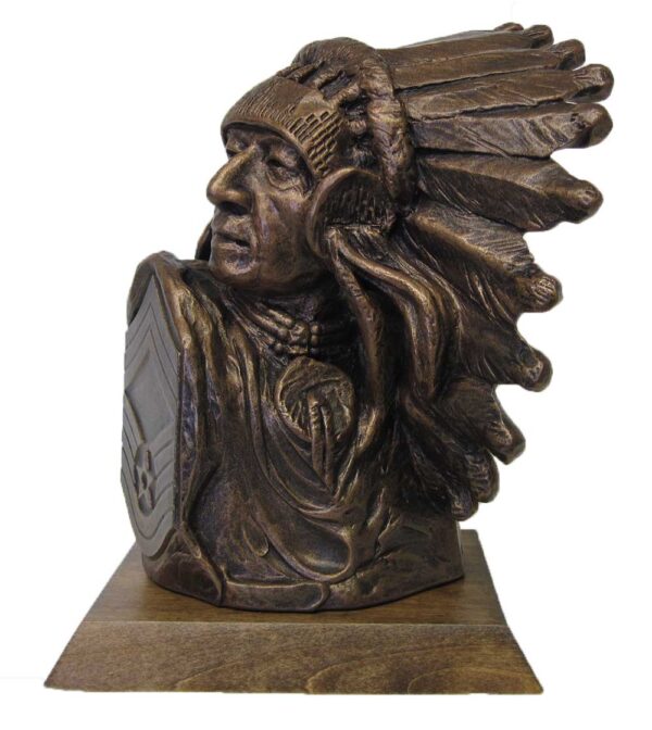 Chief Bust with CMSgt Patch